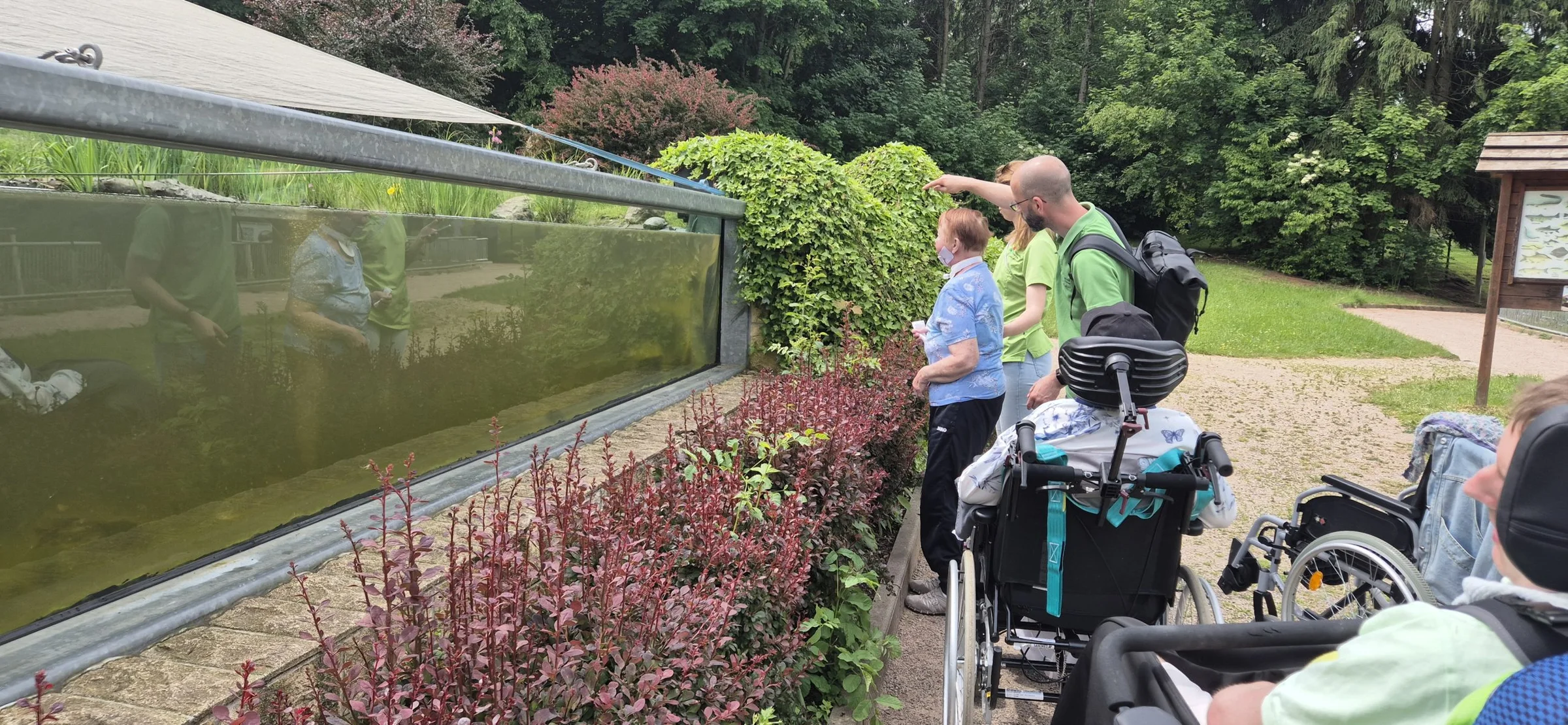 Besuchergruppe mit Rollstühlen an einer großen Glasscheibe eines Wasserbeckens im Tierpark, ein Mann zeigt nach vorn.