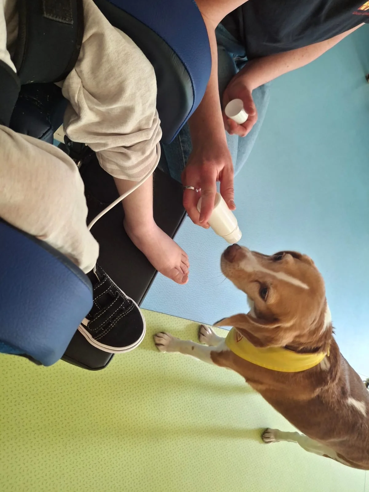 Hund mit gelbem Halstuch schnuppert an einer weißen Tube, die eine Hand ihm entgegenhält, daneben Kinderfüße.